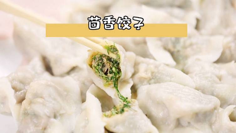 【茴香饺子】是念想,是从小的美食记忆,也是逢年过节周末家家户户的锅碗瓢盆的交响曲,视频里送